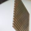 Twin-wall Hollow PC Transparent Roofing Sheet Easy Clean Hollow Polycarbonate Sheets 